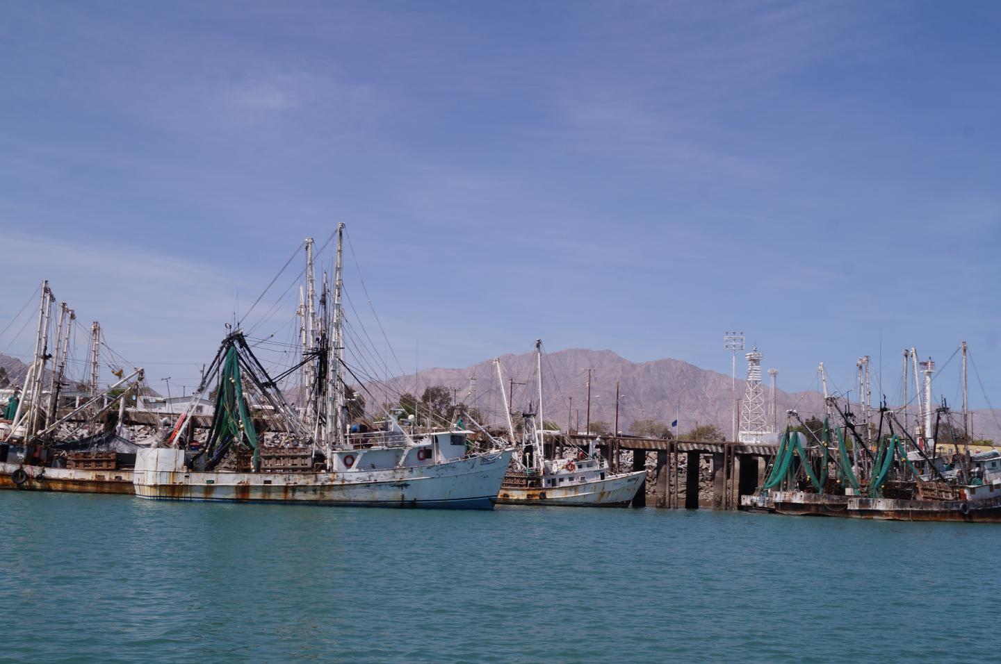 Gulf of California, Mexico