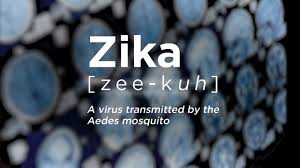 Scientists develop improved, potentially safer Zika vaccine