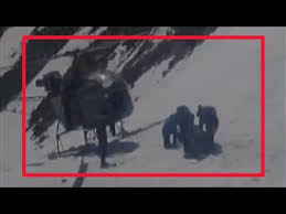 Rescue of US citizen from Leh by IAF Helicopter