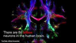 Child abuse affects brain wiring