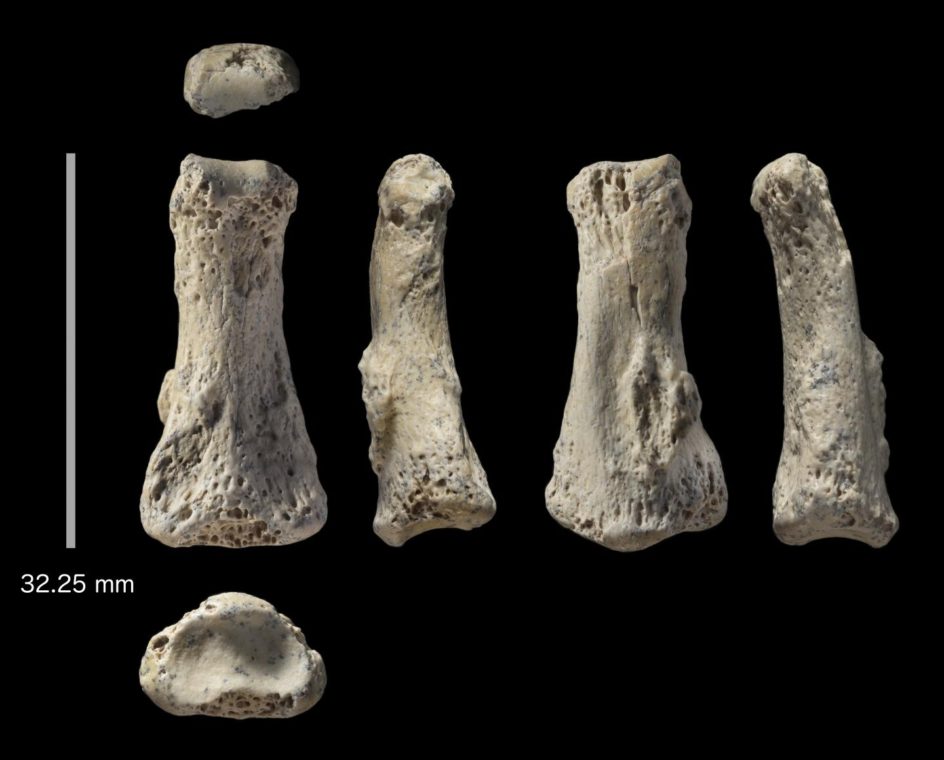 First human migration out of Africa began 90,000 years ago, far wider ...