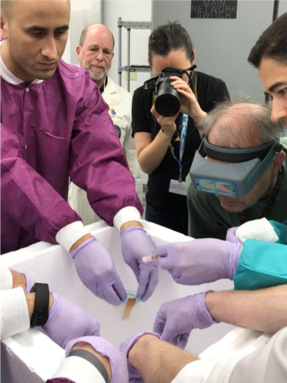 Sperm being sent to ISS to see whether they squirm the same way in Space