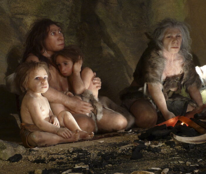 Neanderthal gene in modern women helps give birth to more children, says study