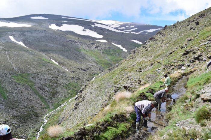 How Climate Change tweaked popular proverbs or made them redundant now, finds Study