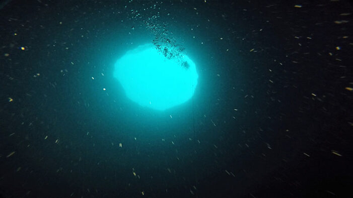 Mysterious 350-ft ‘blue hole’ off Florida reveals huge wealth of undersea life