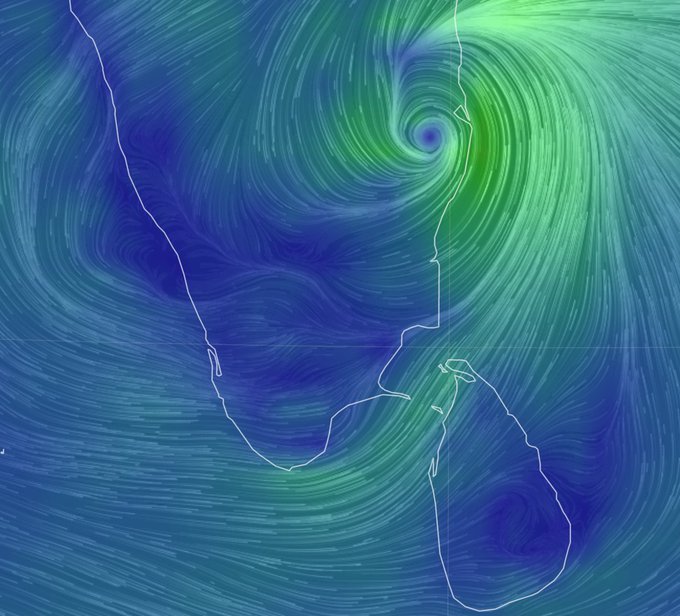 Cyclone Nivar Weakens, Leaves Behind Fallen Trees, Disrupted Power Lines Cyclone Nivar Weakens, Leaves Behind Fallen Trees, Disrupted Power Lines