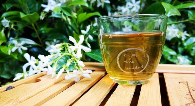 benefits of green tea
