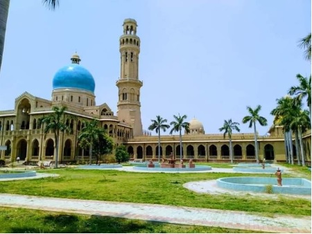 Allahabad University Avoid Chowmein, Manchurian as Ajinomoto Makes You Age Faster: Study