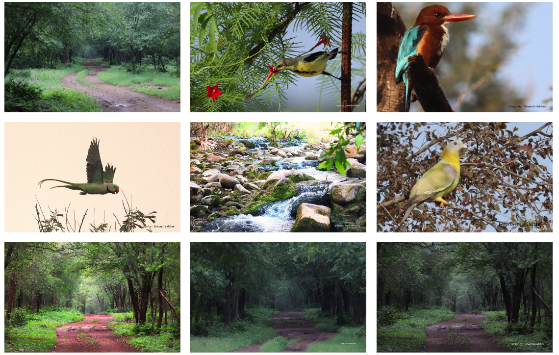 Kuno national park