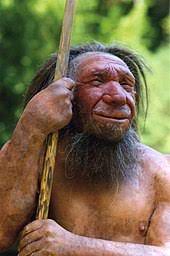 Research establishes traces of Neandertal DNA present in genome of modern humans