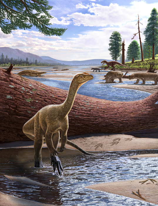 Discovery of Mbiresaurus gives birth to new theory on dinosaurs in Supercontinent Pangea