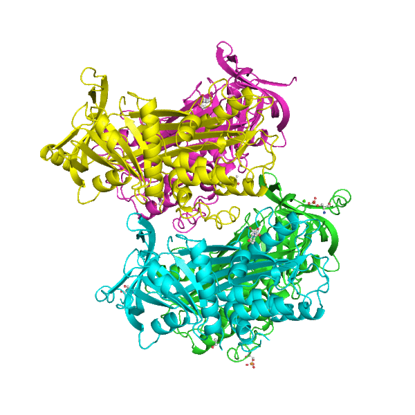 Sunny side up: Can you really fry an egg on the footpath on a hot day?