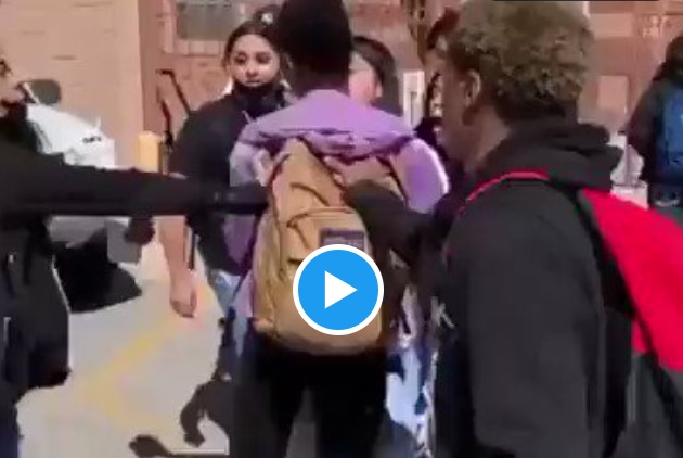 College girls clash to bully getting it back: Today’s Viral videos [Watch]
