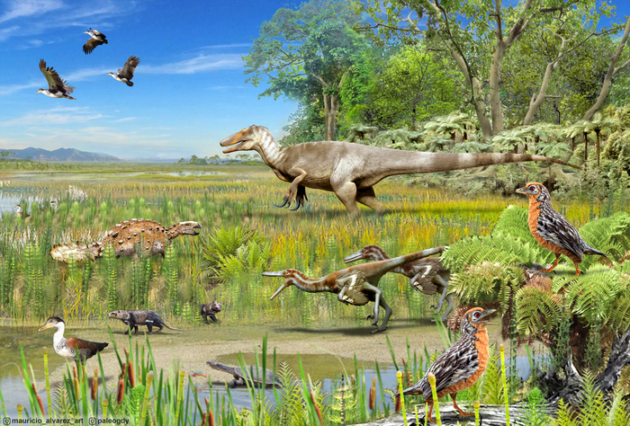 dinos Fossils reveal dinosaurs of prehistoric Patagonia