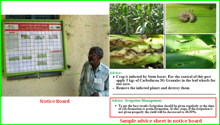 IIIT Hyderabad’s ‘Crop Darpan’ App Helps Farmers Diagnose Crop Health Instantly