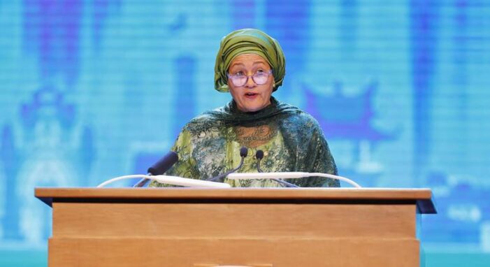 Partnerships, increased climate investment crucial for sustainable transition, says UN deputy chief