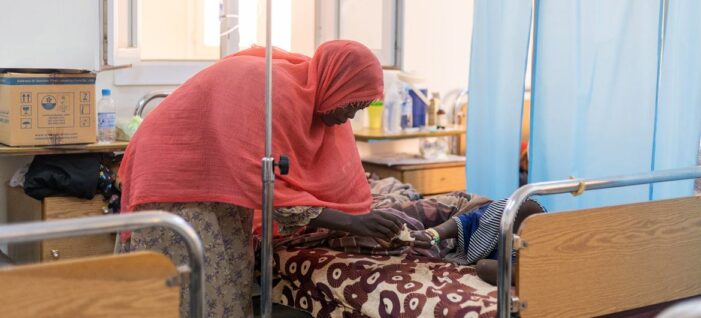 Millions displaced, health system in ruins as Sudan war fuels famine