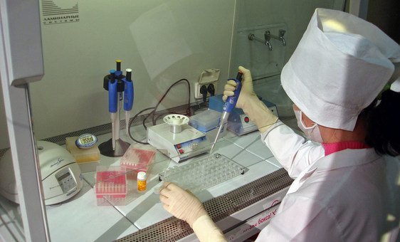 FAO warns of ‘unprecedented’ avian flu spread, in call for global action