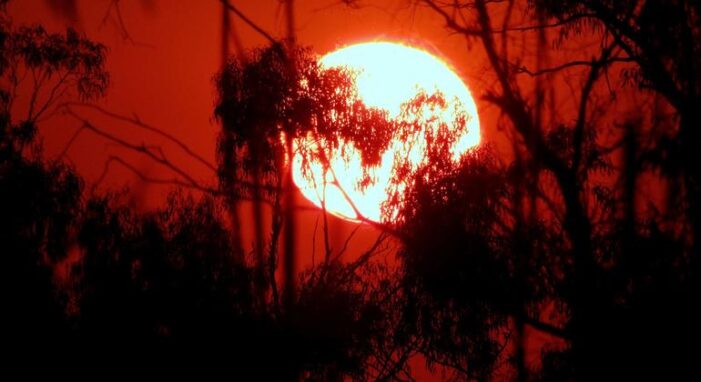 It’s official: January was the warmest on record