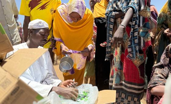 Hundreds killed in Sudan’s camps for displaced people