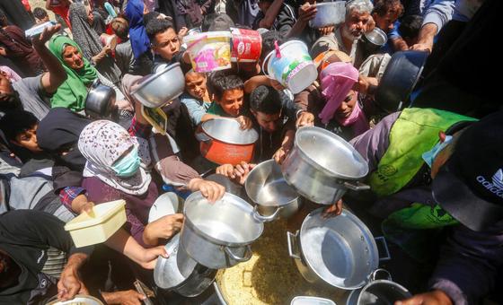 Gaza Strip: Humanitarians warn of worsening famine conditions, attacks on civilians