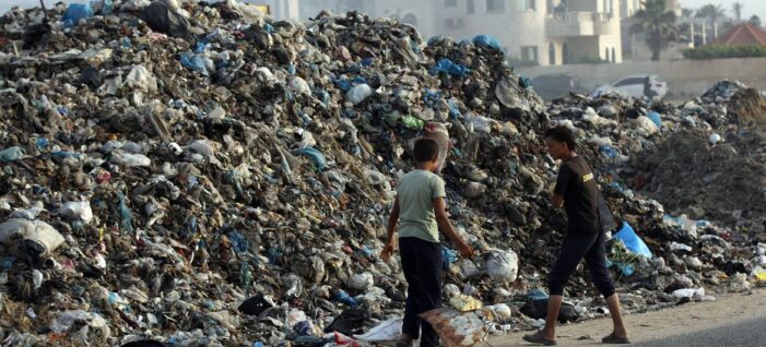 Plague of rats and insects provide latest challenge for war-shattered Gazans