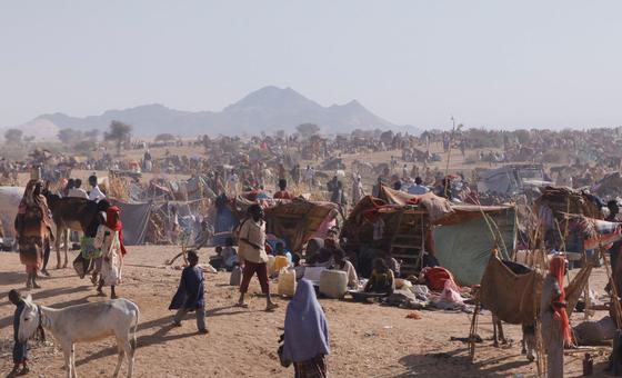 Sudan: UN rights chief appeals for greater protection of civilians in besieged El Fasher