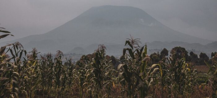 UN warns copper shortage risks slowing global energy and technology shift