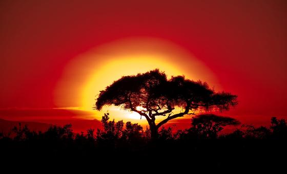 Climate change takes increasingly extreme toll on African countries