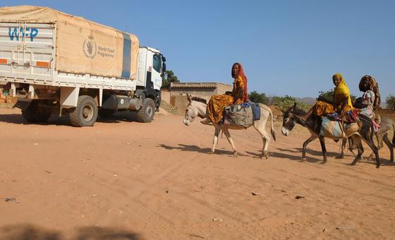 Another year, another rise in food insecurity – including famine