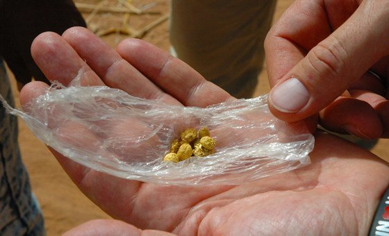 Organized crime groups increasingly embedded in gold supply chain