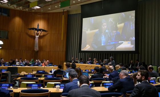 Diplomats prepare ground for June conference on two-State solution for Israel and Palestine