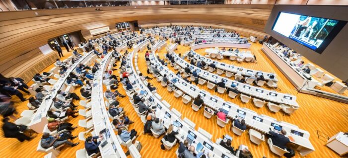 Pandemics to pollution: WHO Assembly delivers landmark health decisions