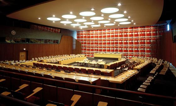 Ukraine among new members elected to UN Economic and Social Council