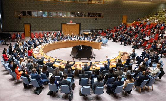 US vetoes Security Council resolution demanding permanent ceasefire in Gaza