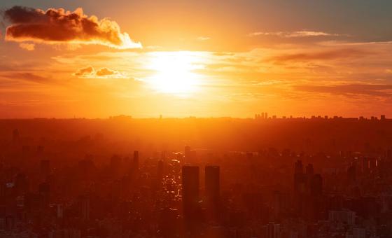 Climate emergency is a health crisis ‘that is already killing us,’ says WHO