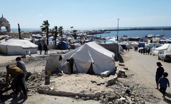 More Gazans killed trying to get food, healthcare near to ‘full disaster’