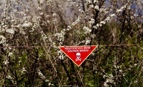 Adhering to bans on mines only in peace time will not work: UN rights chief