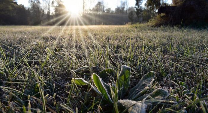 Chile and Argentina among coldest places on Earth as polar anticyclone grips region
