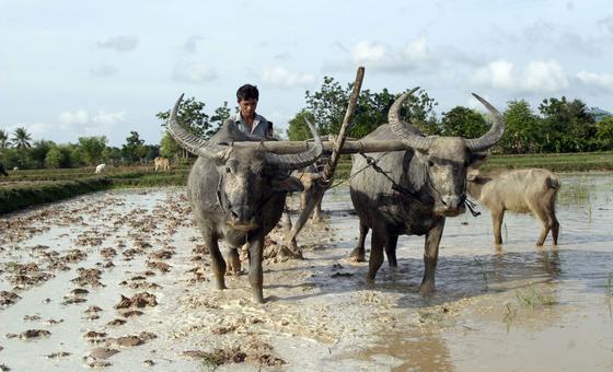 Landless and locked out: Young farmers struggle for a future
