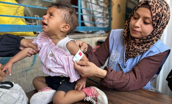 Gazans dying in search of food, ‘starkest illustration’ of their desperation