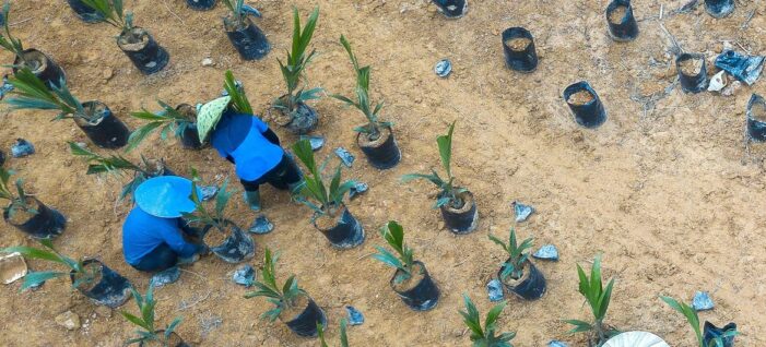 UN forum to spotlight health, gender equality, oceans, in critical bid to meet development goals