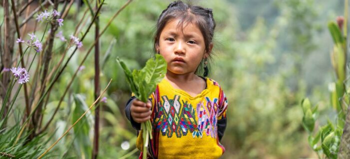 ‘A compass towards progress’ – but key development goals remain way off track