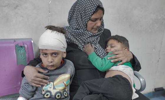 Gaza: 875 people now confirmed dead trying to source food in recent weeks