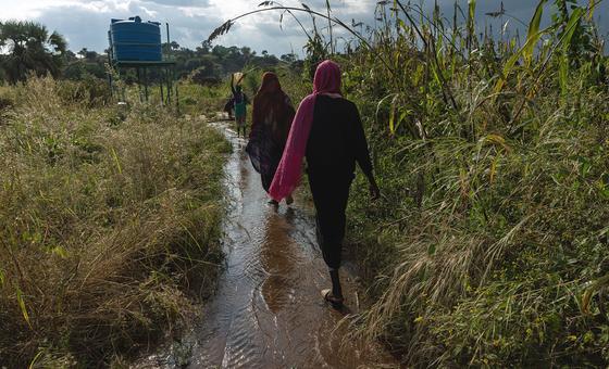 Sudan: UN sounds the alarm as health and food crises worsen across the country