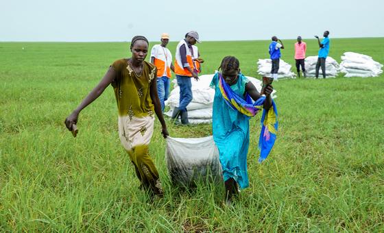 Food lifeline fading for millions in South Sudan hit by conflict and climate shocks