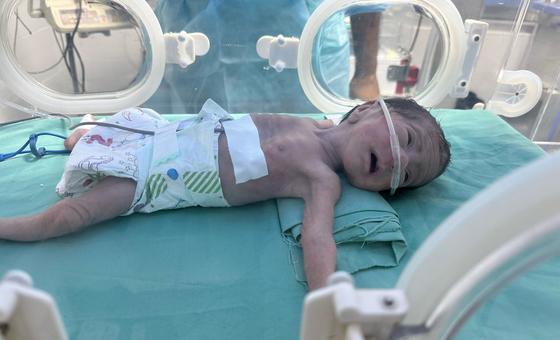 Gaza: More deaths reported as starvation spreads