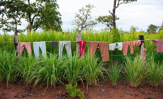 UN urges restraint as Thailand-Cambodia clashes displace thousands; Security Council meets