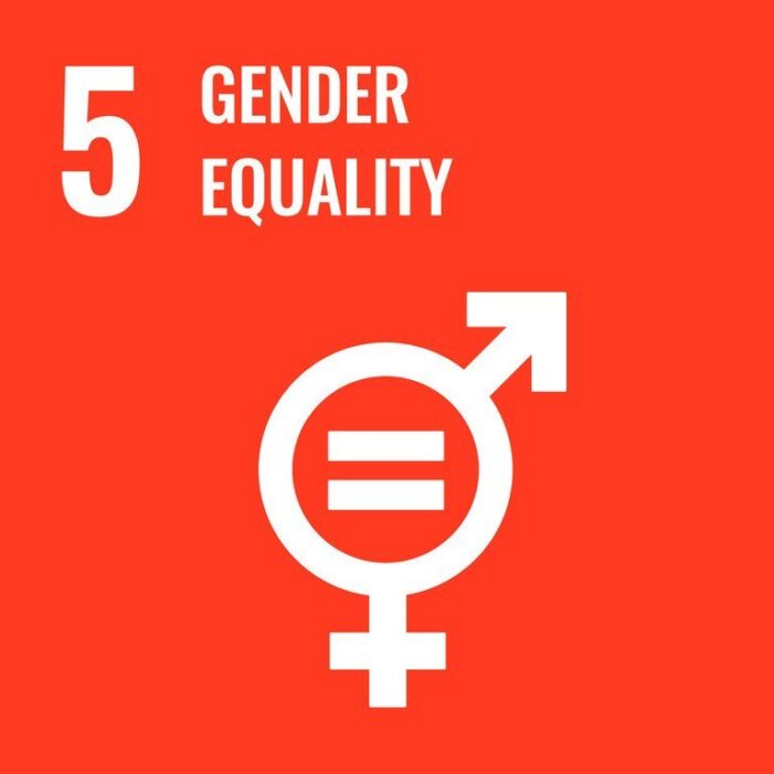 ‘By women, for women’: 15 years of the UN agency championing gender equality