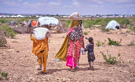 World News in Brief: Violence in Somalia, cholera in Haiti, tax support for sustainable development